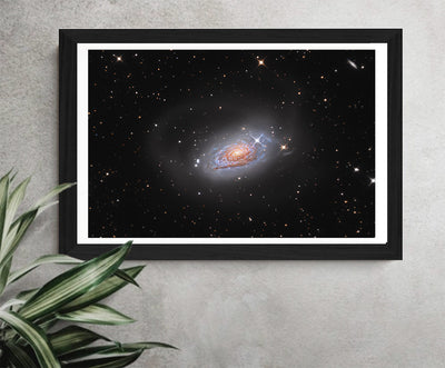 Affiche photo Julien Looten "la galaxie du Tournesol", idée cadeau